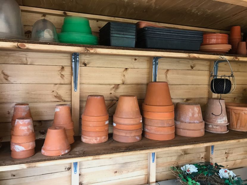 Interior with optional shelving